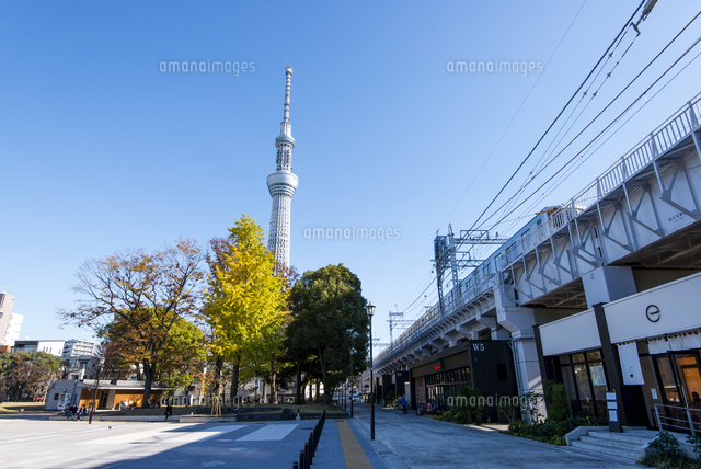 墨田区立隅田公園 そよ風ひろばと東京ミズマチショッピングモールに東武伊勢崎線に東京スカイツリー の写真素材 イラスト素材 アマナイメージズ