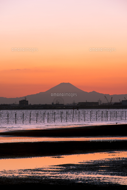 ふなばし三番瀬海浜公園より夕焼けに染まる三番瀬干潟と富士山に都会の