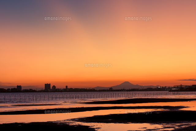 ふなばし三番瀬海浜公園より夕焼け映す潮の引いた三番瀬干潟と富士山に