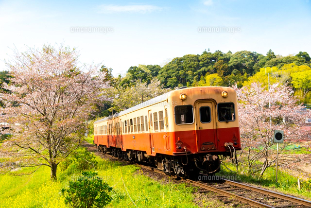 春の小湊鉄道 全線往復  w17b8b5 春の小湊鉄道 全線往復【ブルーレイ】｜ビコム株式会社