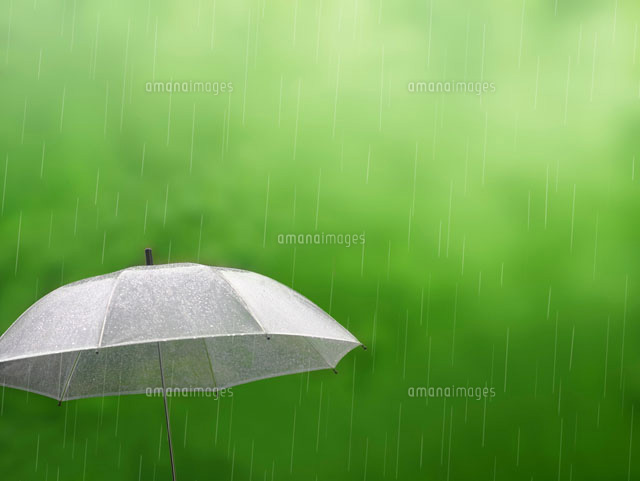 雨の中の傘 の写真素材 イラスト素材 アマナイメージズ