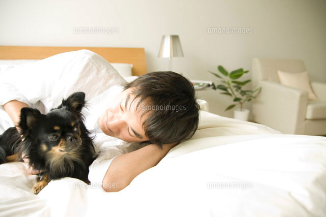 ベッドに横たわる男性と犬 の写真素材 イラスト素材 アマナイメージズ