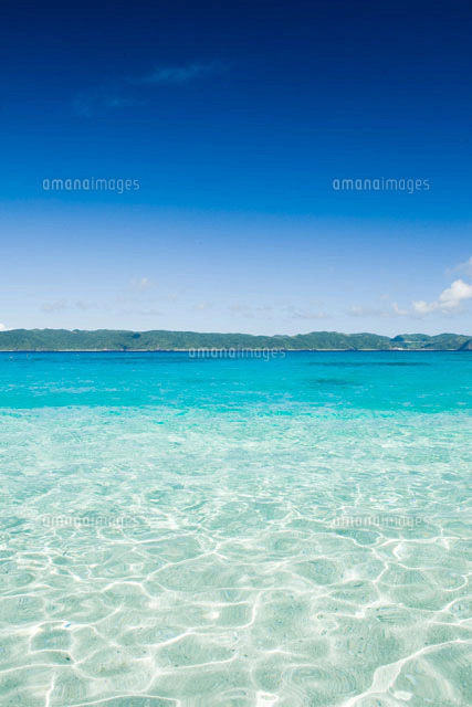 サトウキビ畑と雲 の写真素材 イラスト素材 アマナイメージズ