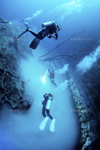 セノーテ アンヘリータを潜るダイバー の写真素材 イラスト素材 アマナイメージズ