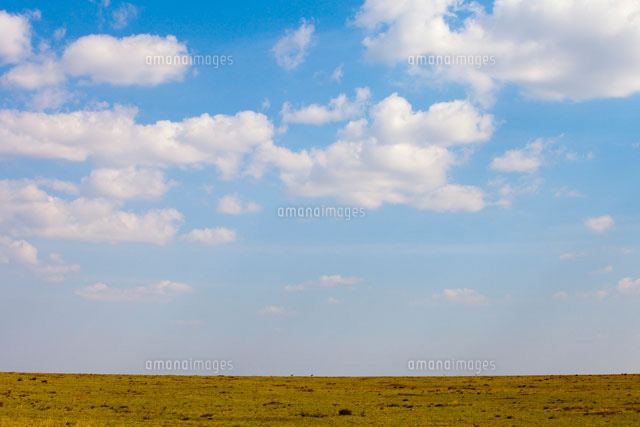マサイマラのサバンナと青空 の写真素材 イラスト素材 アマナイメージズ