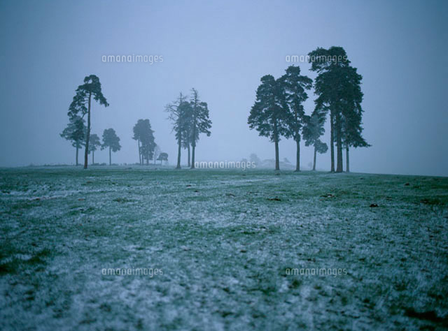 悪天候の道の上 の写真素材 イラスト素材 アマナイメージズ