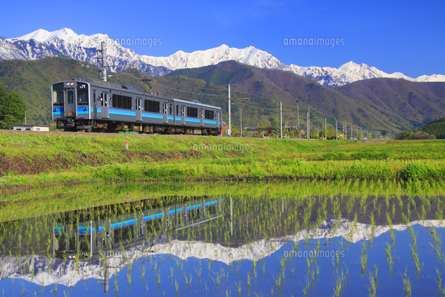 風景画「山間を走る列車」　鉄道風景 北アルプス 油彩画 印象派風 山 風景画「山間を走る列車」 鉄道風景 北アルプス 油彩画 印象派風