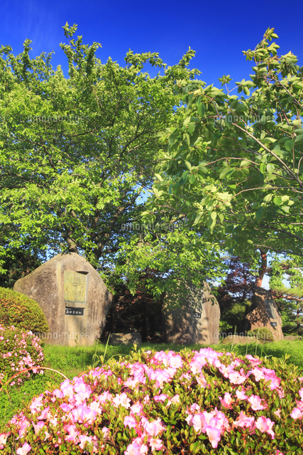 真田幸隆 昌幸 幸村のレリーフとツツジ の写真素材 イラスト素材 アマナイメージズ