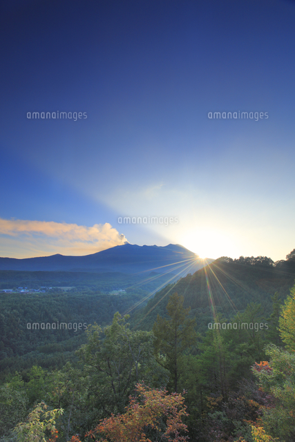 噴火する御嶽山と紅葉の樹林と夕日と光芒 の写真素材 イラスト素材 アマナイメージズ