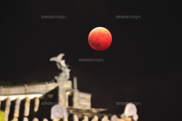 皆既月食と上田城の鯱 の写真素材 イラスト素材 アマナイメージズ