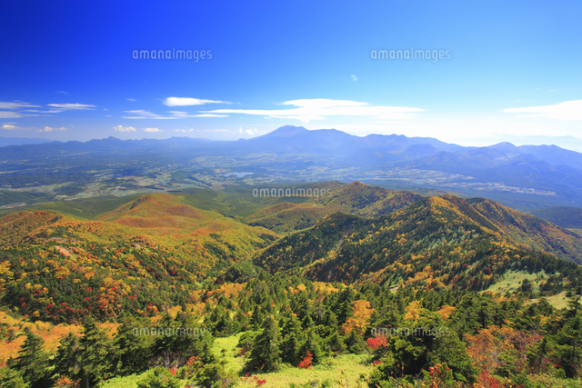 四阿山から望む浅間山と紅葉の樹林[10247016693]の写真