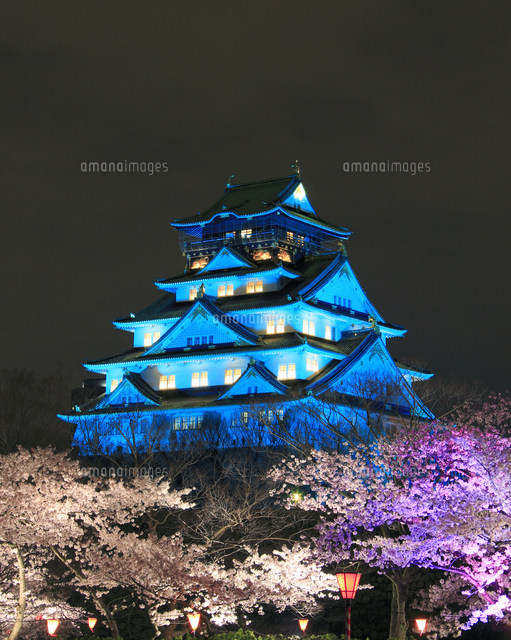 夜桜と城のスプレーアート原画 8210-873-