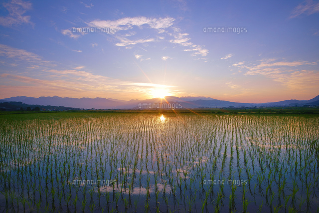 水鏡の田園と烏帽子岳から昇る朝日[10247020283]の写真・イラスト素材