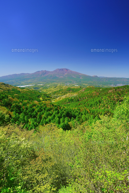 八風山から望む浅間山と新緑の樹林 の写真素材 イラスト素材 アマナイメージズ