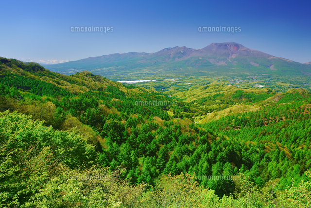 風景　山 八風山から望む浅間山と新緑の樹林と白馬連峰遠望[10247020622]の写真