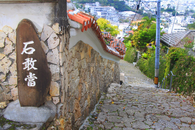 金城 花卉圖 花朵圖案包| 2025年首次亮相| LAZONA川崎廣場