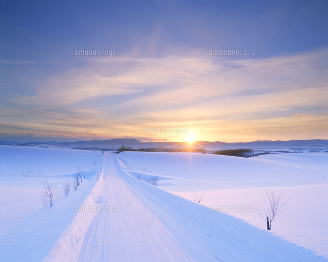 YH 夕焼雪景色画 夕焼雪景色 油彩画 F6号