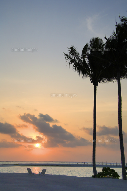 ヤシの木とビーチチェアと朝日 の写真素材 イラスト素材 アマナイメージズ