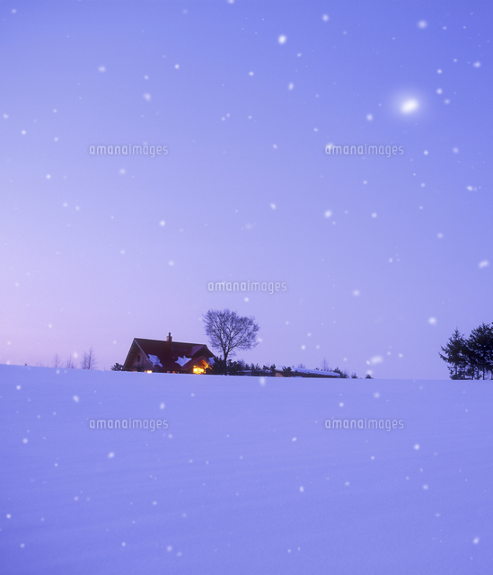 雪の降る雪原と民家 夕景 の写真素材 イラスト素材 アマナイメージズ