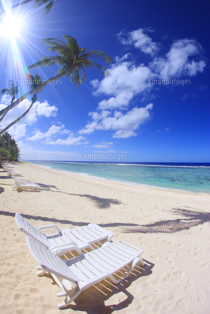 ヤシの木とビーチチェア の写真素材 イラスト素材 アマナイメージズ