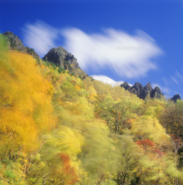 風に揺れる紅葉樹林と岩峰群 の写真素材 イラスト素材 アマナイメージズ
