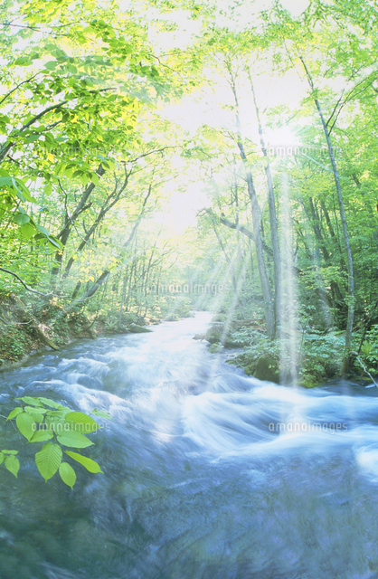 清流と木漏れ日と光芒 奥入瀬 の写真素材 イラスト素材 アマナイメージズ