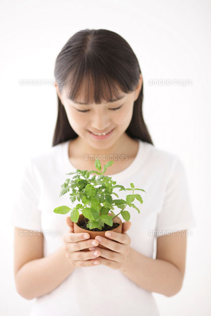 ハーブの鉢植えを持つ女性 の写真素材 イラスト素材 アマナイメージズ
