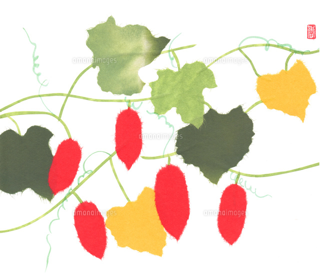 切り絵「カラスうり」167x217mm 切り絵「カラスうり」167x217mm 0_7f57809cd718bc4a77da8e221e1a