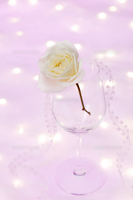 ワイングラスとネックレスとバラの花 の写真素材 イラスト素材 アマナイメージズ