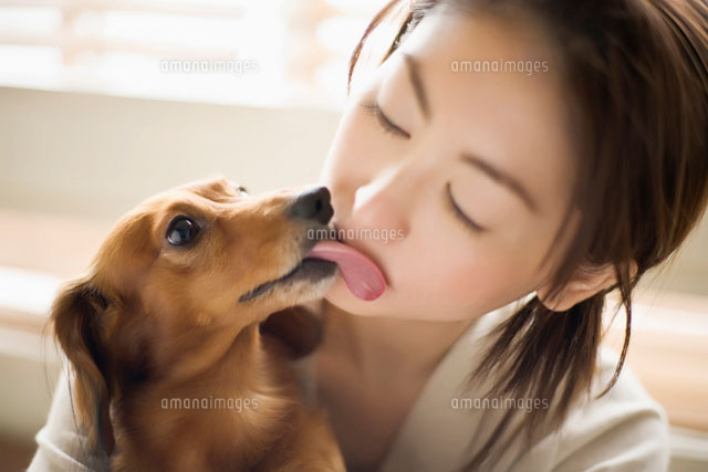 スキンシップする犬と女性 の写真素材 イラスト素材 アマナイメージズ スキンシップする犬と女性 の写真素材 イラスト素材 アマナイメージズ