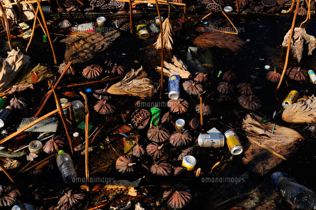 不忍池に捨てられたゴミ の写真素材 イラスト素材 アマナイメージズ