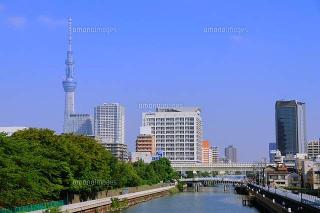 横十間川と東京スカイツリー の写真素材 イラスト素材 アマナイメージズ