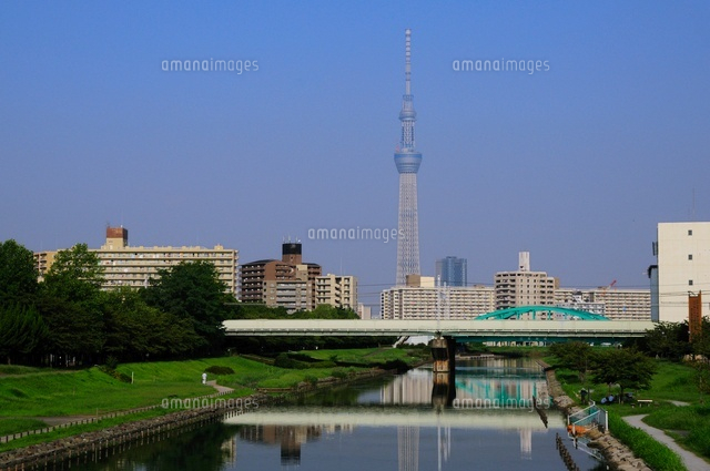 亀戸中央公園と東京スカイツリー の写真素材 イラスト素材 アマナイメージズ