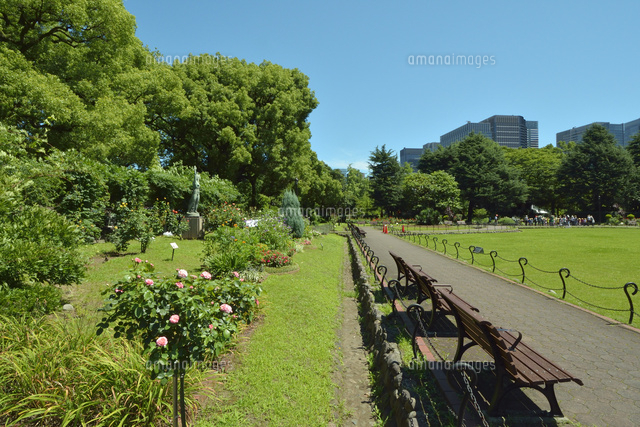 日比谷公園の新緑とベンチ の写真素材 イラスト素材 アマナイメージズ