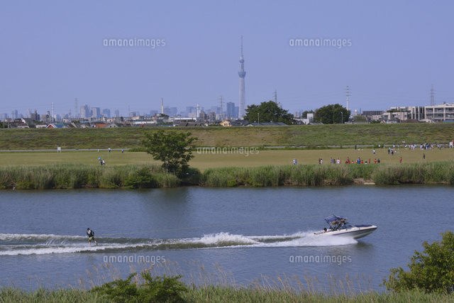 江戸川と東京スカイツリー の写真素材 イラスト素材 アマナイメージズ