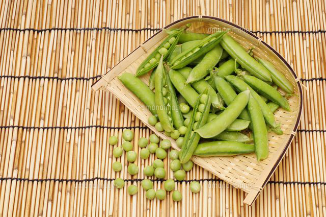 野菜 えんどう豆 の写真素材 イラスト素材 アマナイメージズ
