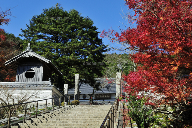紅葉の円通寺境内 の写真素材 イラスト素材 アマナイメージズ