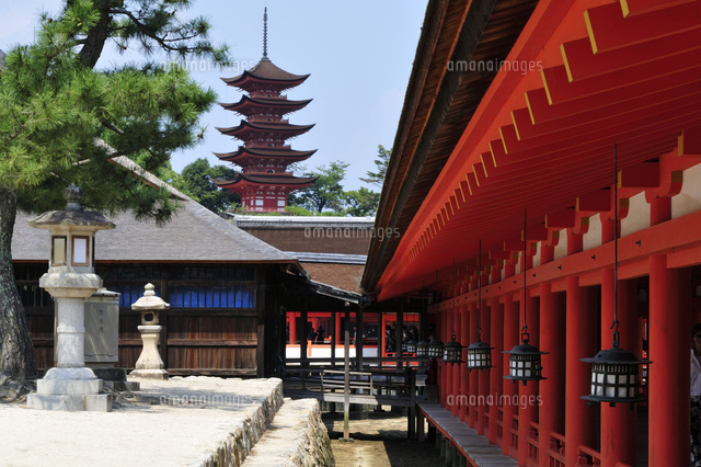 世界遺産 日本三景 夏の宮島厳島神社から五重塔 の写真素材 イラスト素材 アマナイメージズ
