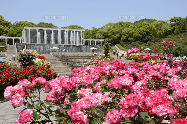 須磨離宮公園 欧風庭園とレストラン の写真素材 イラスト素材 アマナイメージズ