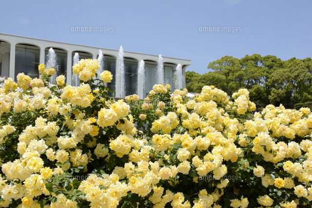 須磨離宮公園 欧風庭園とレストラン の写真素材 イラスト素材 アマナイメージズ