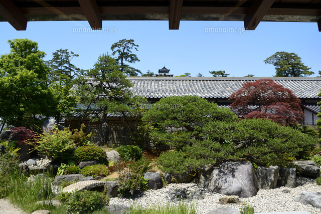 松江歴史館本館の庭園[10254009969]の写真素材・イラスト素材｜アマナ 