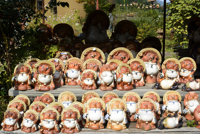 信楽焼きタヌキ の写真素材 イラスト素材 アマナイメージズ