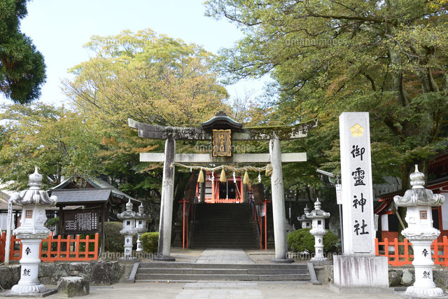 福知山 御霊神社鳥居 の写真素材 イラスト素材 アマナイメージズ