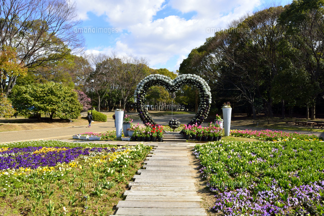 大阪 長居植物園 大花壇 の写真素材 イラスト素材 アマナイメージズ