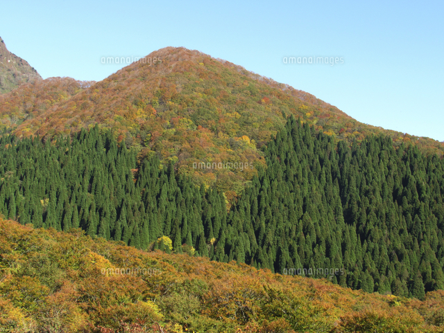 秋 鍵掛峠からの山一面の紅葉 の写真素材 イラスト素材 アマナイメージズ