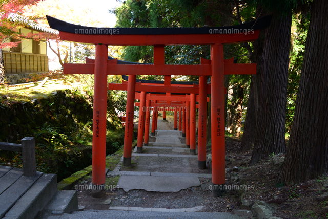 出石城下街 稲荷神社鳥居 の写真素材 イラスト素材 アマナイメージズ