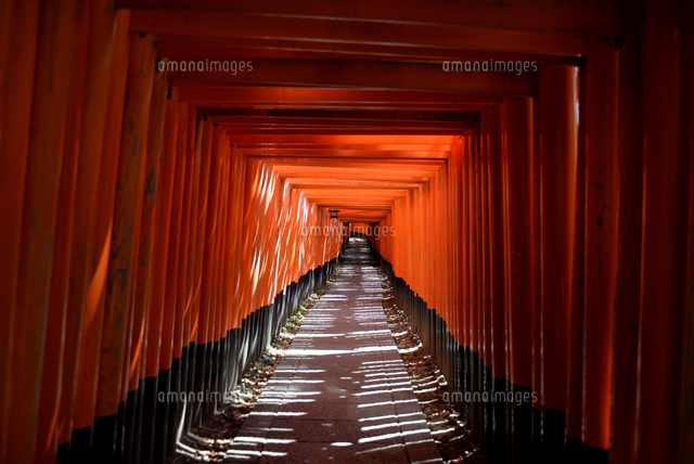 京都 伏見稲荷大社境内 稲荷大神千本鳥居 の写真素材 イラスト素材 アマナイメージズ
