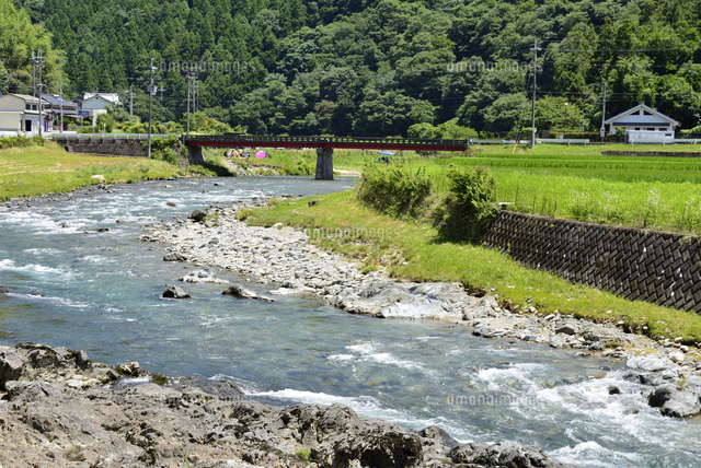 夏の千種川上流の渓谷と田園風景[10254031382]の写真・イラスト素材