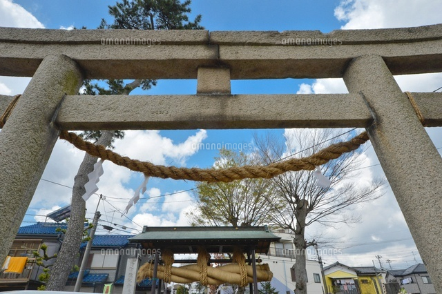 神社鳥居、境内、祭事用しめ縄 黄金鳥居 しめ縄付 神具｜神棚・神具 やまこう【公式オンライン