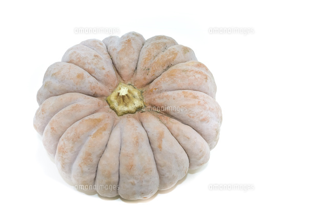 江戸東京野菜の内藤カボチャ の写真素材 イラスト素材 アマナイメージズ